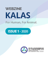 ISSUE 1 - 2020