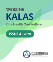 ISSUE 4 - 2020