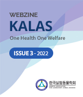 ISSUE 3 - 2022