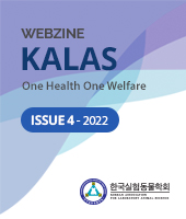 ISSUE 4 - 2022