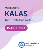 ISSUE 2 - 2023