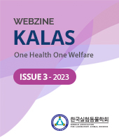 ISSUE 3 - 2023
